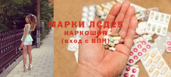 индика Пестово